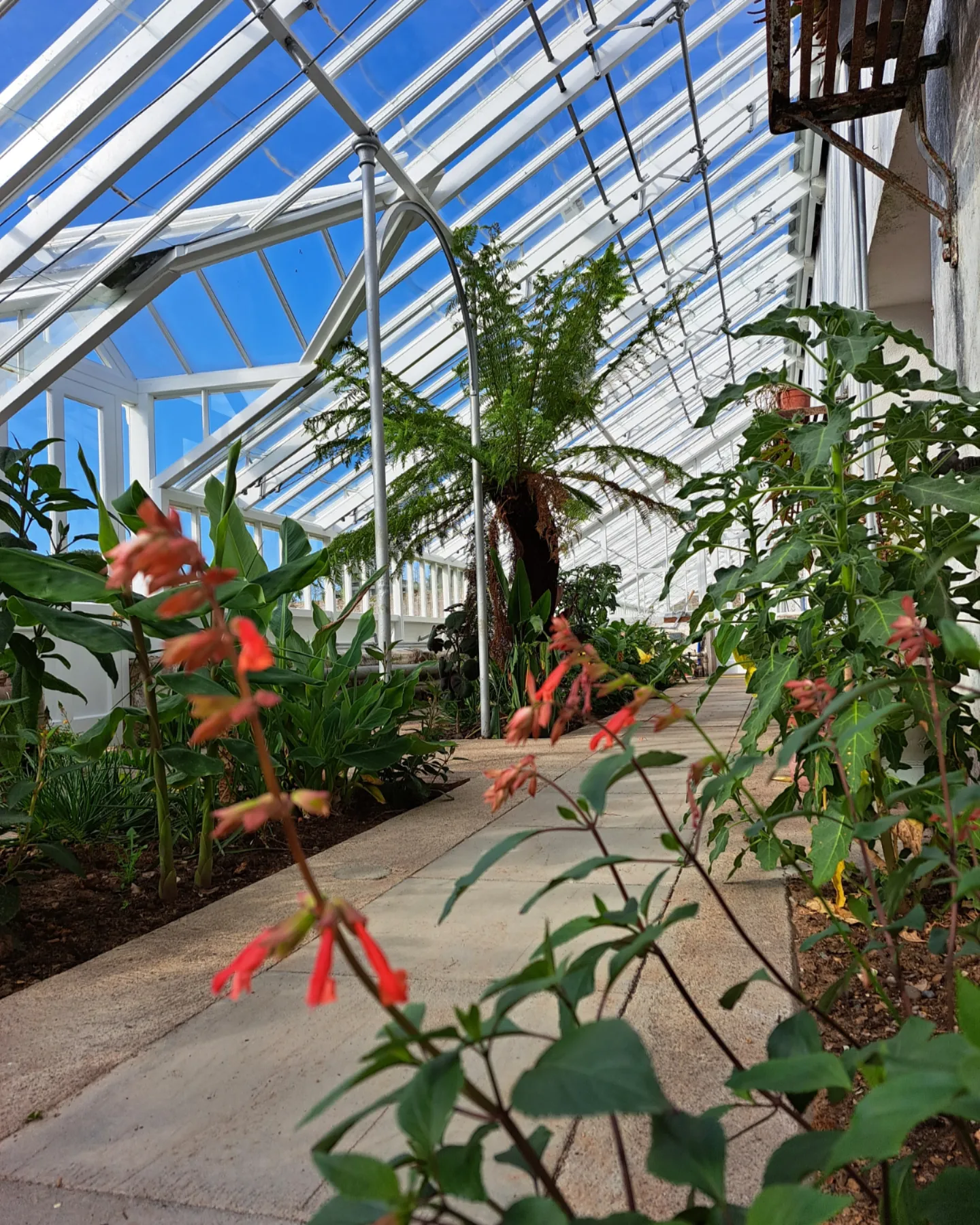 Glasshouse