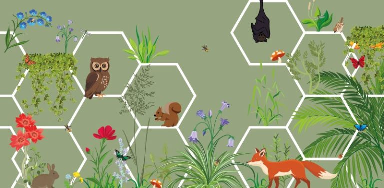 National Heritage Week