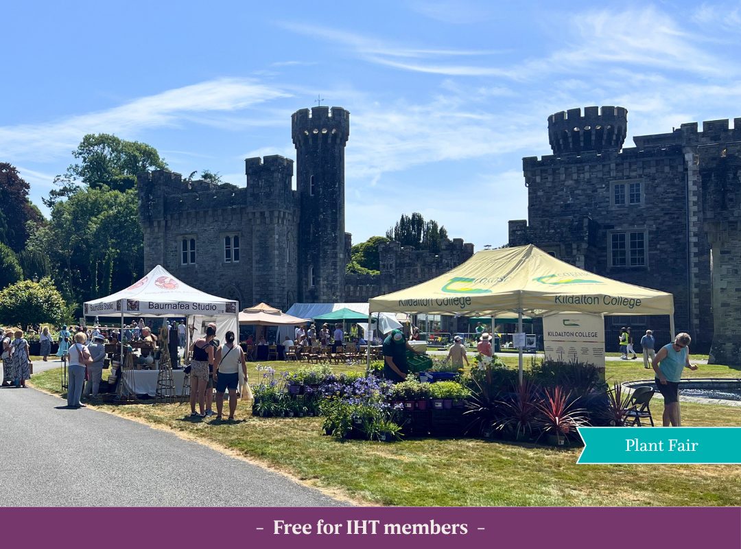 Crowded plant fair at Johnstown Castle under sunny blue skies, with numerous plant nurseries and craft stalls, and visitors browsing.