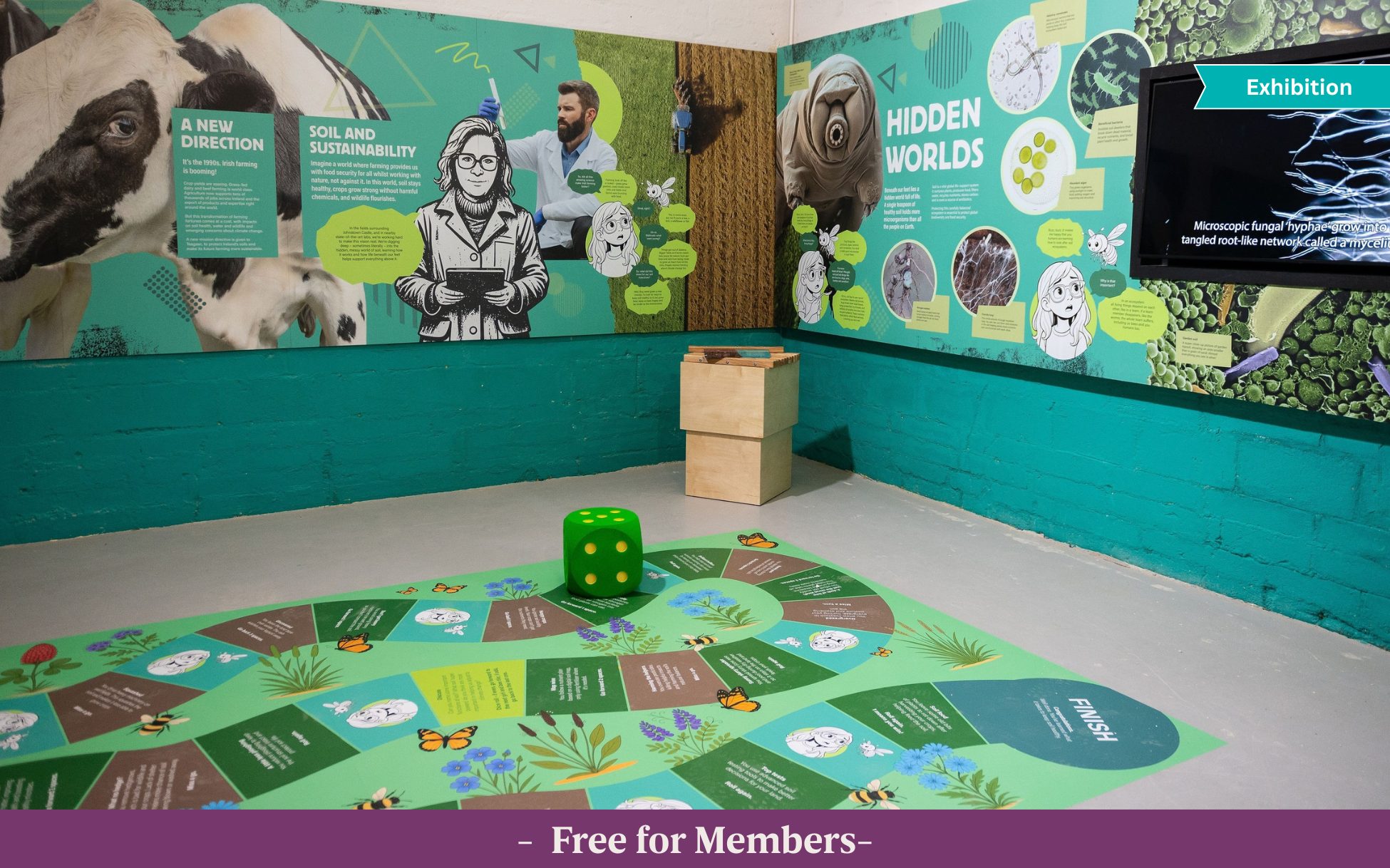 A section of the new Changing Farming Fortunes exhibition, highlighting the hidden world of soil and a snakes & ladders game with dice on the ground for children to play.