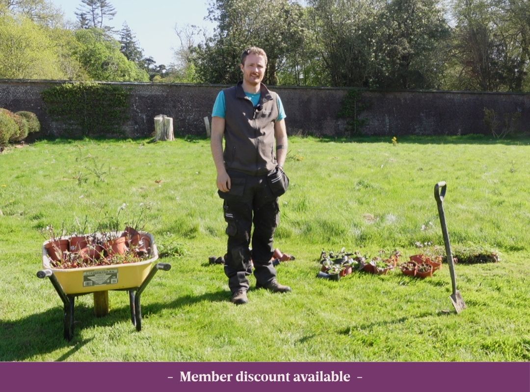 Wilding Gardens Web Pic Johnstown Castles Head Gardener Ciarán Fitzgerald. Ciarán is standing on the lawn in the Walled Garden. Beside him is a yellow wheelbarrow full of plants. Member discount available.