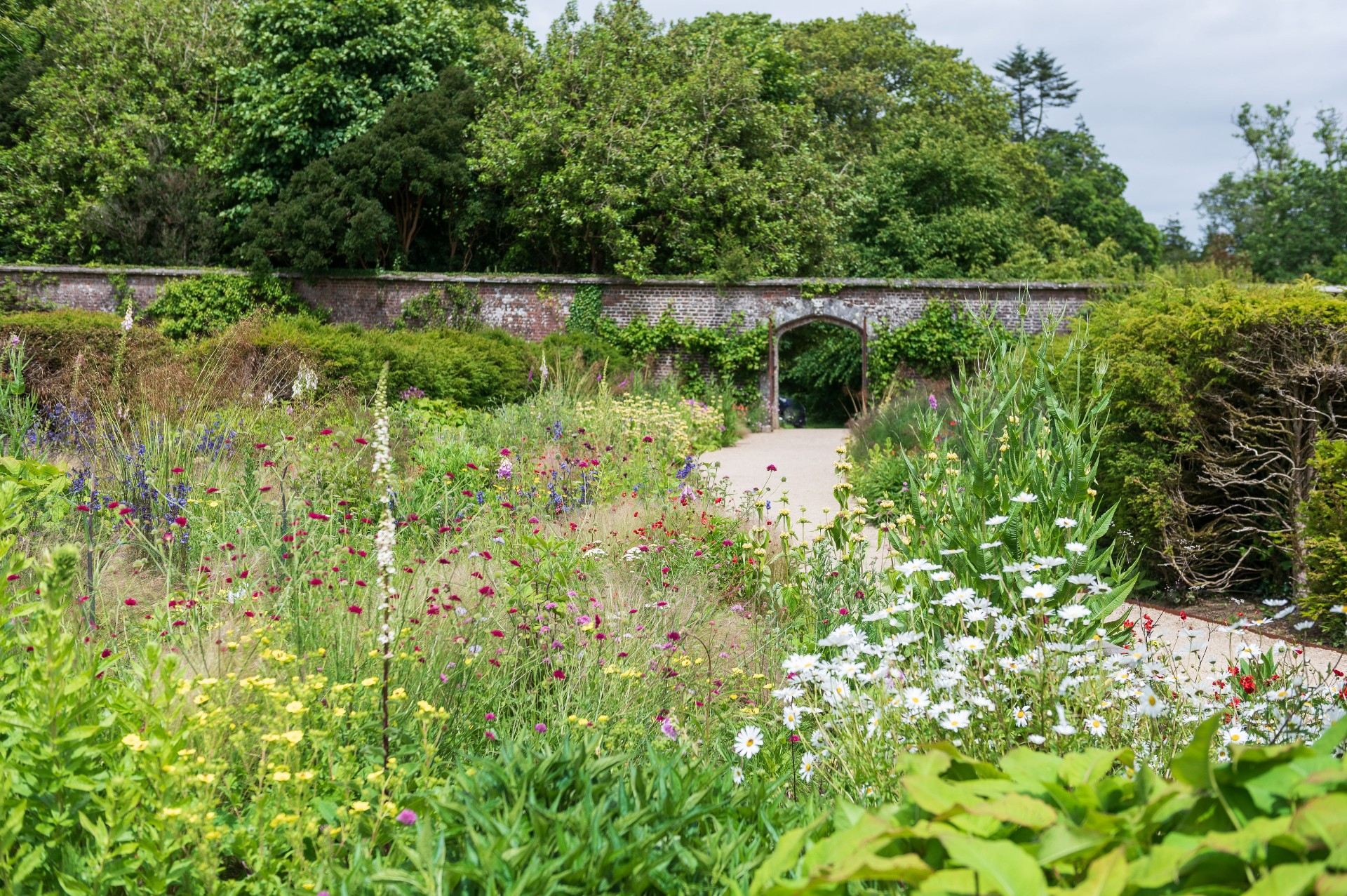 Johnstown Castles Victorian Walled Garden in full bloom.